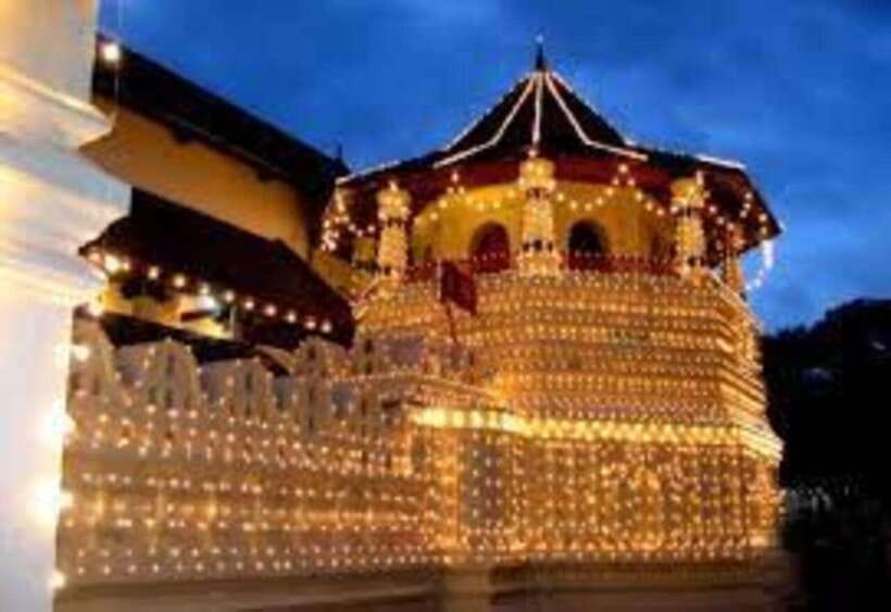 From Negombo : Pinnawala & Tea Factory & Kandy Full Day Trip - Royal Botanical Garden: where time and explanations pay off