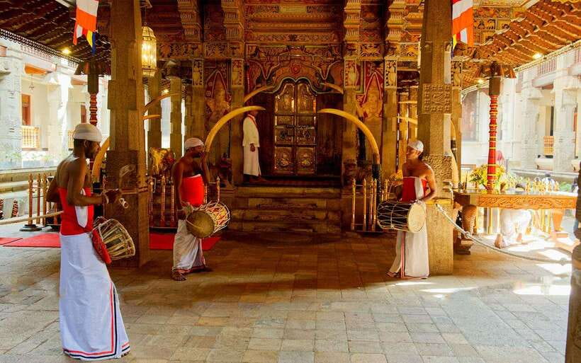 From Negombo : Pinnawala & Tea Factory & Kandy Full Day Trip - Price and entrance fees: where the real cost lands
