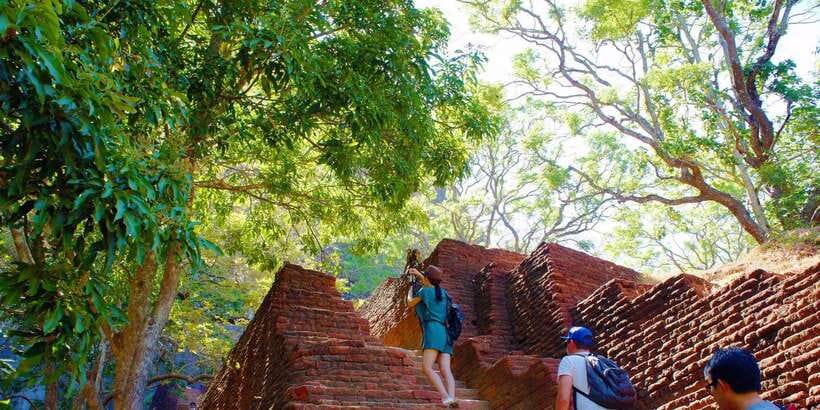 From Negombo: Sigiriya and Dambulla Day Trip and Safari - Key things to know before you go