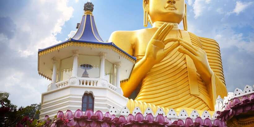 From Negombo: Sigiriya and Dambulla Day Trip and Safari - The summit views, photo stops, and how to pace the climb
