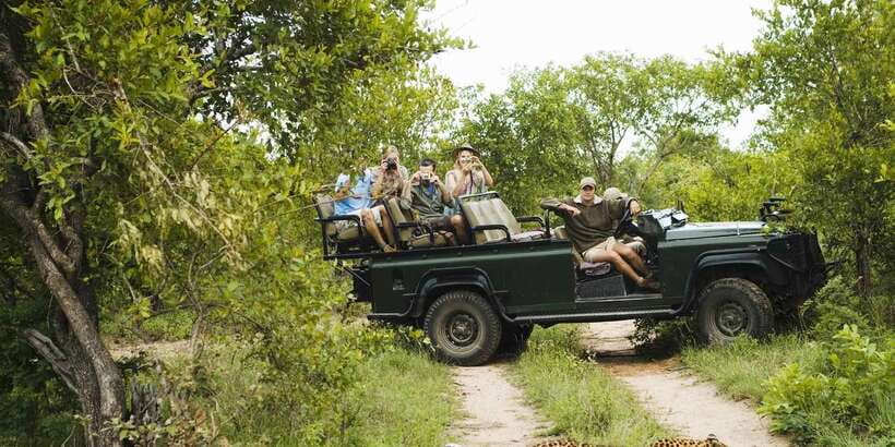 From Negombo: Wilpattu National Park Safari Guided Day Tour - The jeep, the guide, and why one person’s effort can change your day