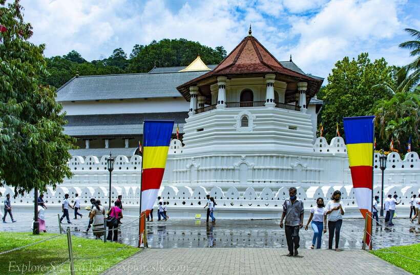 From Nuwara Eliya To Kandy Drop Tour - Practical Tips: What to Bring, How to Dress, and How to Handle the Sales Stops