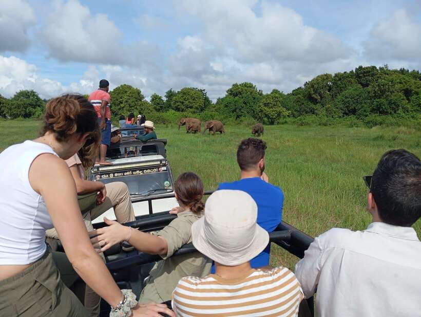 From Sigiriya: Hurulu Eco Park Elephant Jeep Safari - Timing, group size, and who this safari fits best
