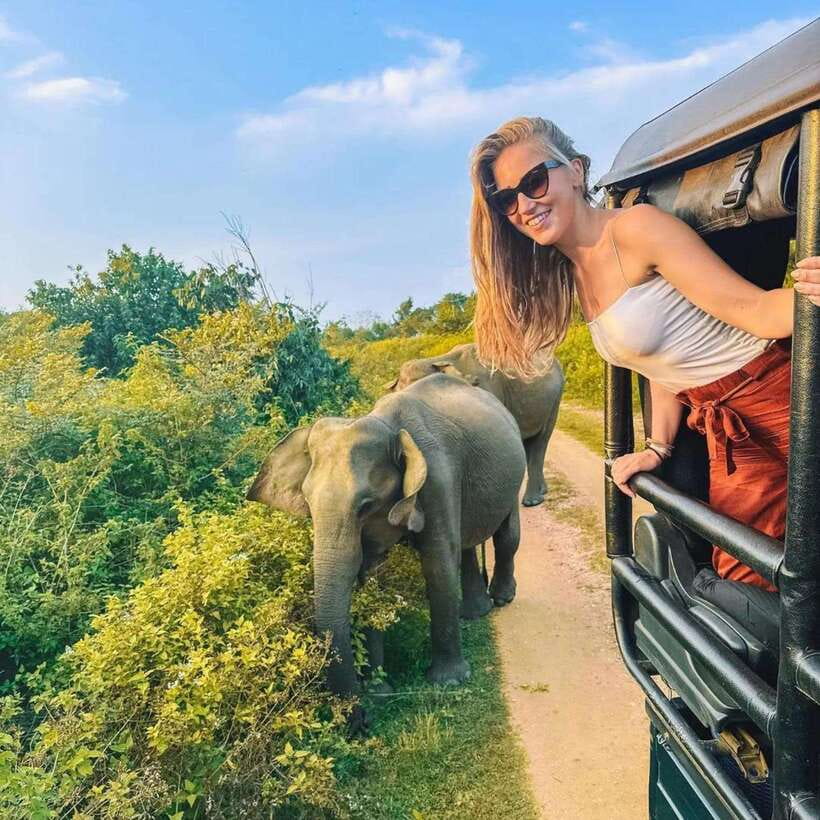 From Sigiriya : Hurulu Eco Park Safari : All Inclusive - What a 4-hour morning looks like, from pickup to park drive