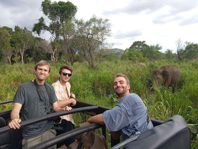 From Sigiriya: Minneriya National Park Half-Day Jeep Safari - Why Minneriya elephants draw a serious crowd