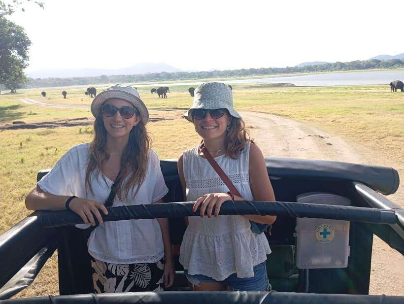 From Sigiriya: Minneriya National Park Half-Day Jeep Safari - Inside the 4x4 jeep safari schedule