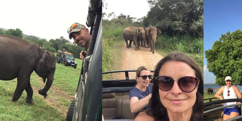 From Sigiriya: Polonnaruwa Ancient City & Minneriya Safari - The Minneriya or Kaudulla safari: jeep time that actually delivers