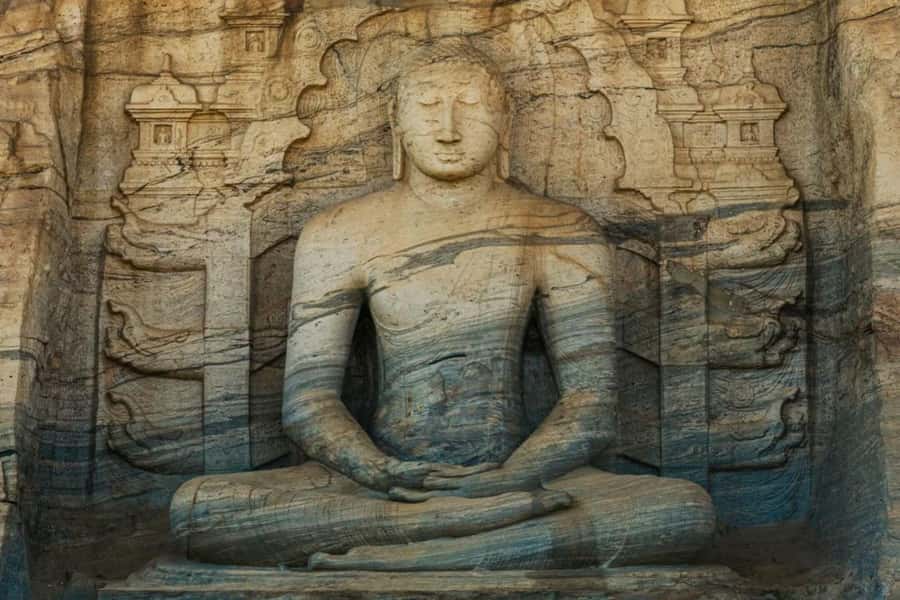 From Sigiriya :Polonnaruwa Ancient City Tour/Day Tour - Polonnaruwa in one day from Sigiriya, with elephants as the bonus