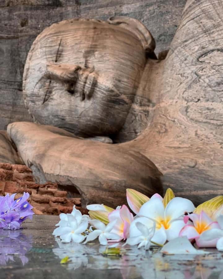 From Sigiriya :Polonnaruwa Ancient City Tour/Day Tour - Timing: how the 5 to 8 hours plays out in real life
