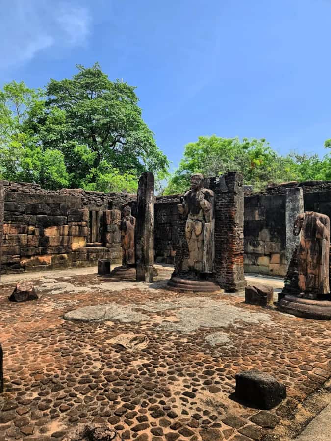 From Sigiriya :Polonnaruwa Ancient City Tour/Day Tour - Minneriya elephant gathering from the safari jeep