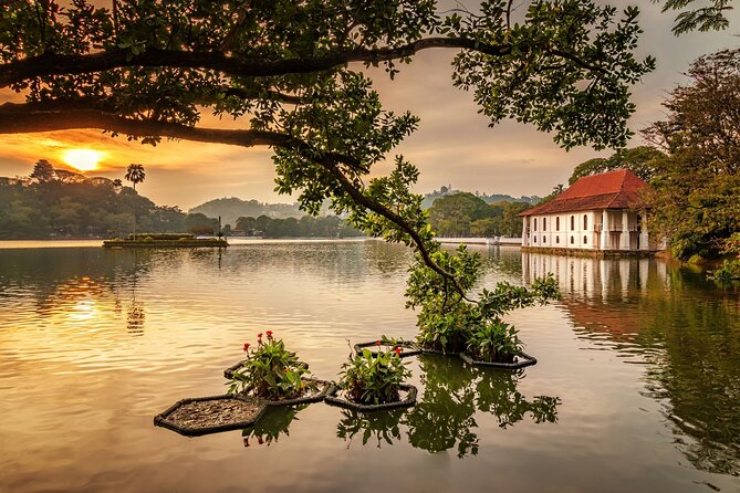 From Sigiriya to Kandy Transfer by Private Comfortable Car - Getting the Right Start Time (and Not Wasting Morning)