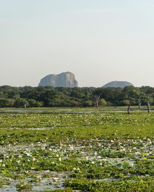 From Tangalle / Hiriketiya - Yala Safari - Drop-off : Ella - Comfort on the road: pickup timing, water, and photo reality