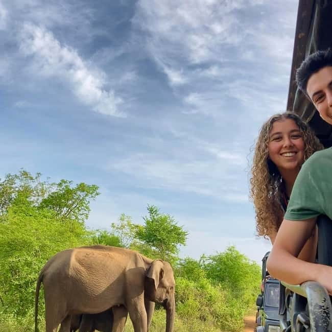 From Tangalle/ Hiriketiya: Yala Safari with Drop: Ella - Who This Tour Fits Best (And Who Should Look Elsewhere)