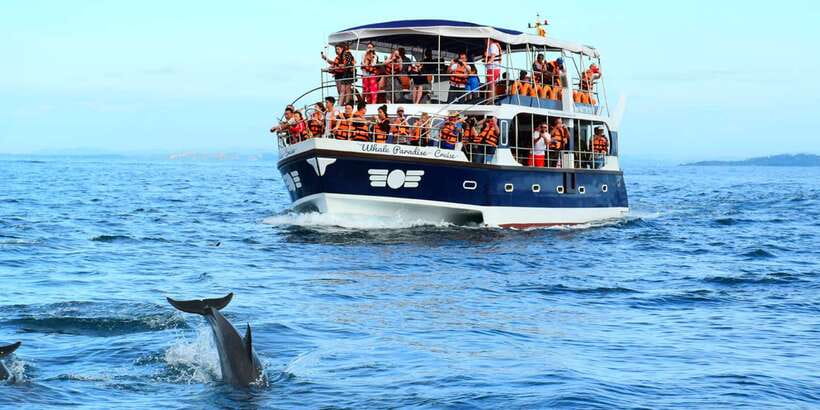From Tangalle: Mirissa Whale Watching Tour with Breakfast - Key Things You’ll Notice on This Tour
