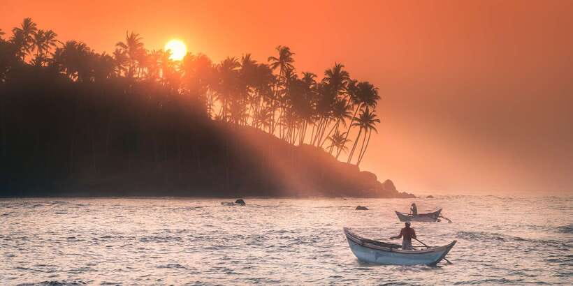 From Tangalle: Mirissa Whale Watching Tour with Breakfast - What’s Included, and What That Means for Value
