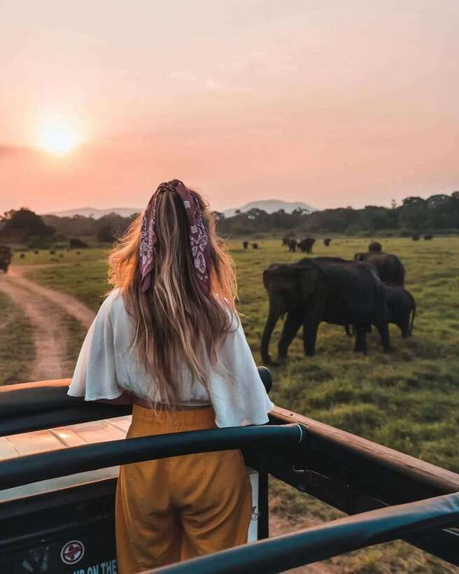 From Trincomalee : Minneriya / Kaudulla Elephant Safari - When Conditions Change: Huluru Eco Park and Weather Flexibility