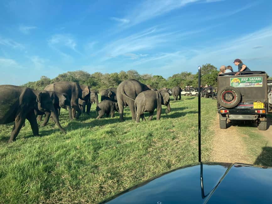 From Trincomalee: Minneriya National Park 4X4 Jeep Safari - The park arrival moment: photo stop, then you get moving