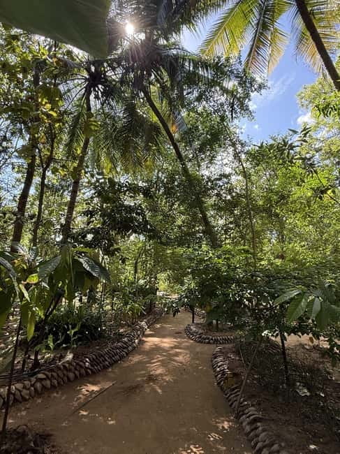 From Trincomalee: Village Tour & Minneriya Elephant Safari - Price and value: what you’re paying for, and what costs extra