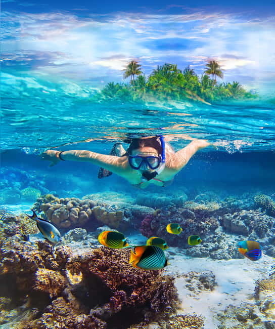 From Uppuveli Beach: Pigeon Island Snorkeling Tour - Pigeon Island National Park, why the snorkeling is special off Uppuveli