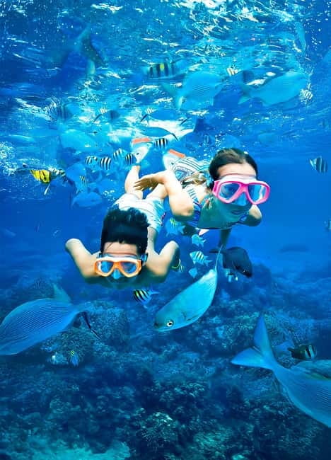 From Uppuveli Beach: Pigeon Island Snorkeling Tour - The boat transfer to Pigeon Island: short ride, real sea conditions