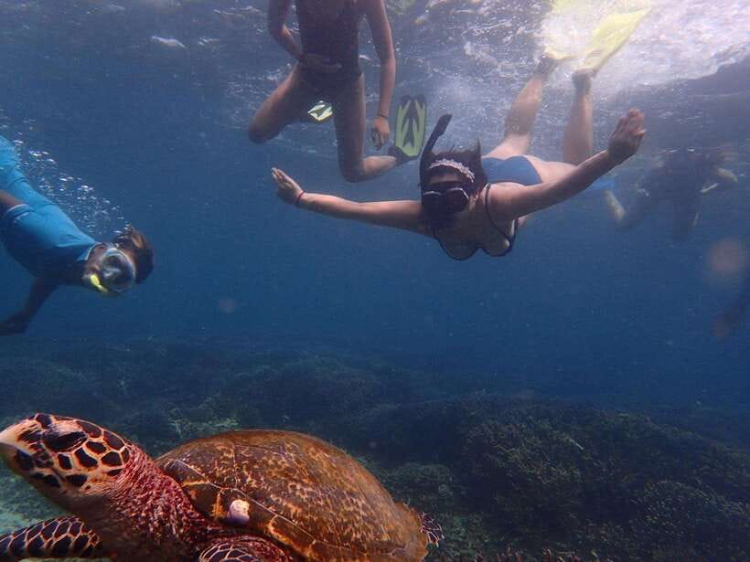 From Uppuveli Beach: Pigeon Island Snorkeling Tour - Meet at Trinco Bay, right by Fernando’s Beach Market