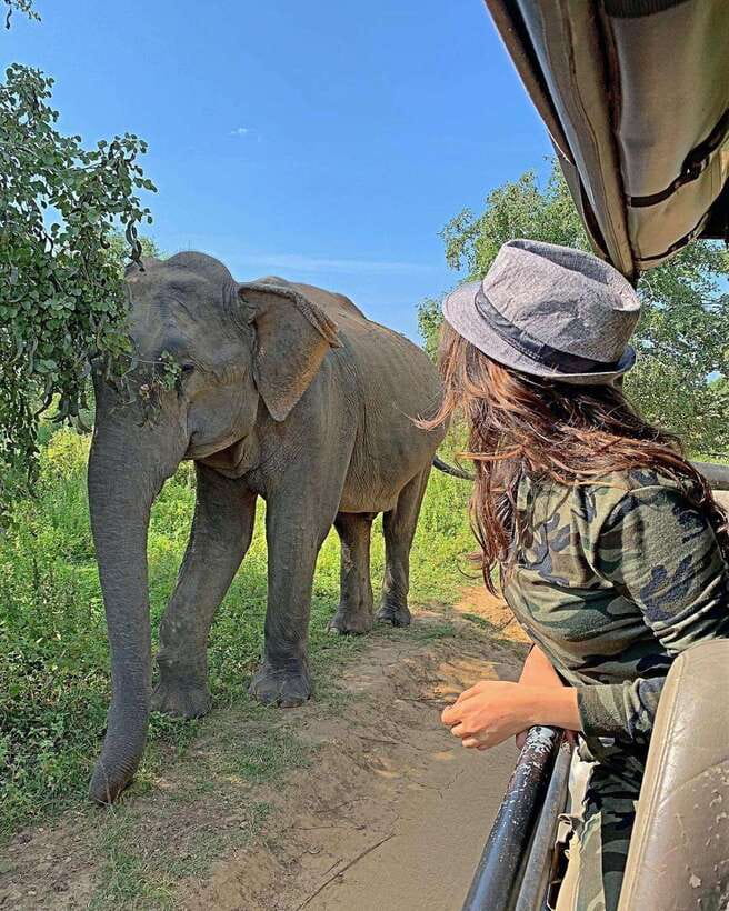 From Weligama : Udawalawa National Park Safari Tour - Udawalawe From Weligama: The day trip that saves you stress