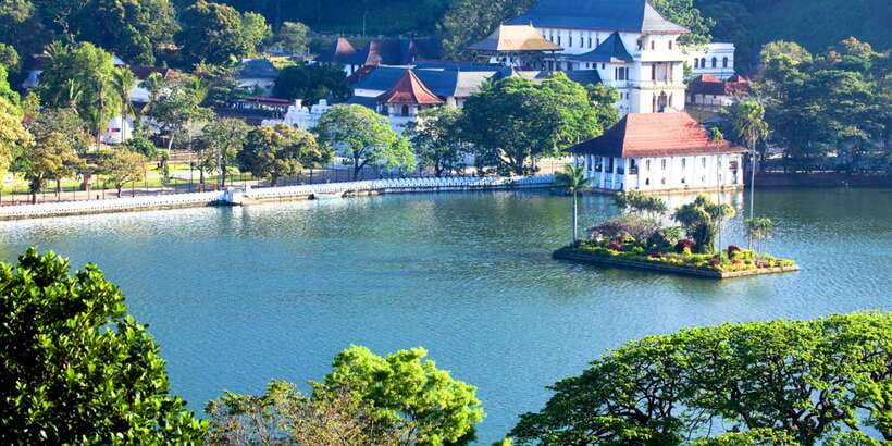 From west coast: Kandy, Tooth temple, Botanical & Tea garden - Key Things You’ll Get From This One-Day Kandy Tour