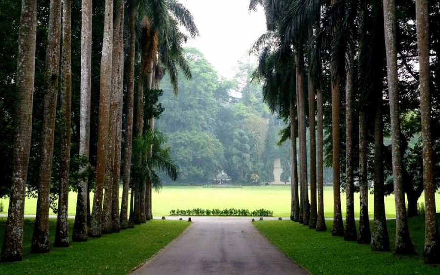 From west coast: Kandy, Tooth temple, Botanical & Tea garden - Spice Garden Stop in Central Province: Why Sri Lanka Tastes Like It Does