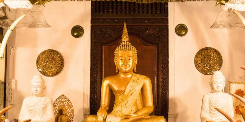 From west coast: Kandy, Tooth temple, Botanical & Tea garden - Kandy Downtown Timing: How to Make the Most of a Short Day