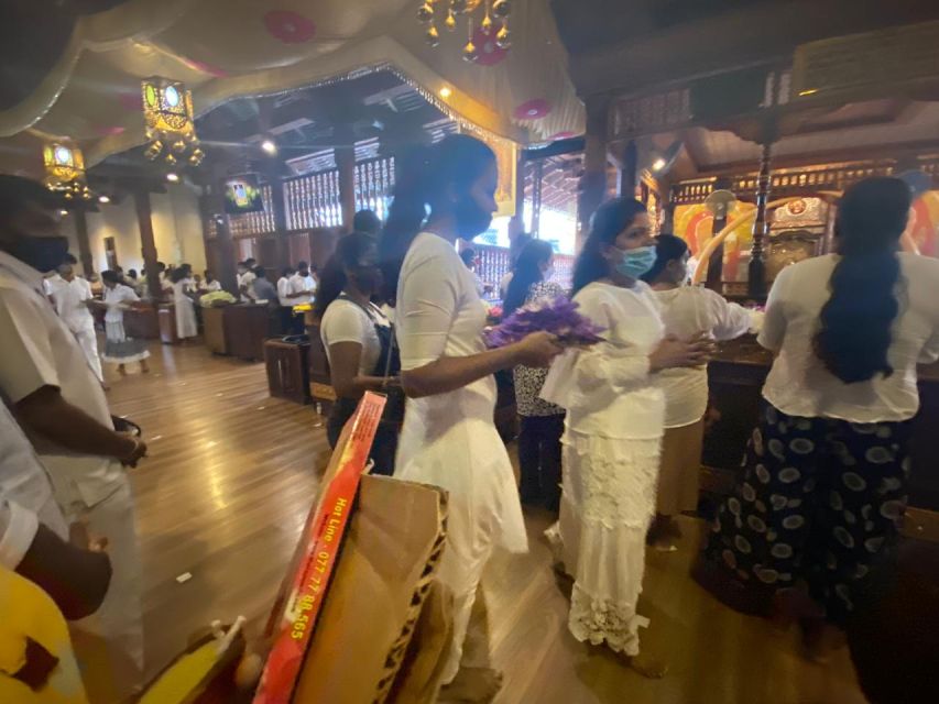 From west coast: Kandy, Tooth temple, Botanical & Tea garden - Price and Value: Is $84 Worth a One-Day Kandy Hit?