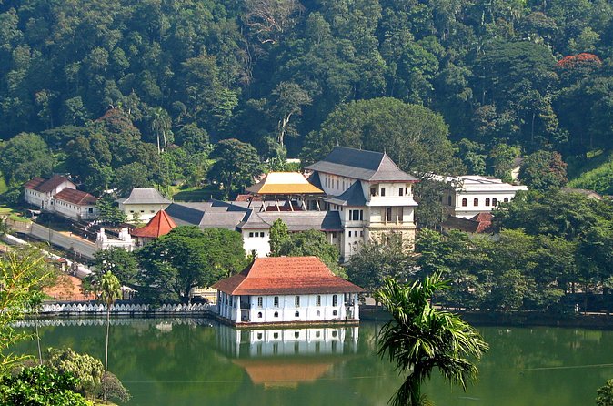 Full-Day Kandy Highlights Tour - What this Kandy highlights tour is really good for