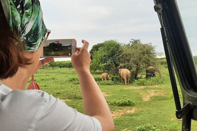 Full Day Safari Tour Yala - Price and value: what $96 covers, and what it doesn’t