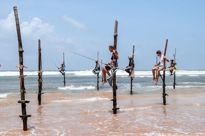 Full Day Safari Tour Yala - Wildlife highlights you can expect to aim for