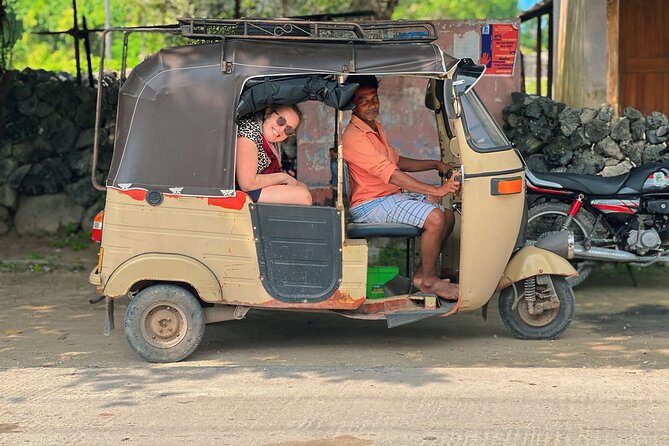 Full Day Tour Delft and Nainativu Island Adventure from Jaffna - Delft Island (Neduntheevu): wild horses and slow, old trees