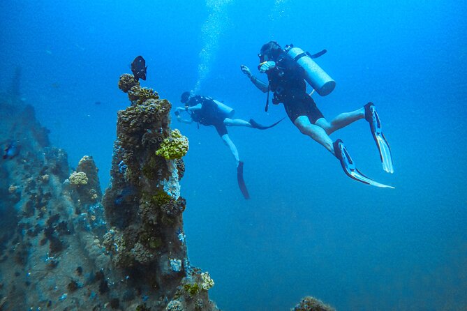 Fun Dives For Certified Divers - Key highlights at a glance