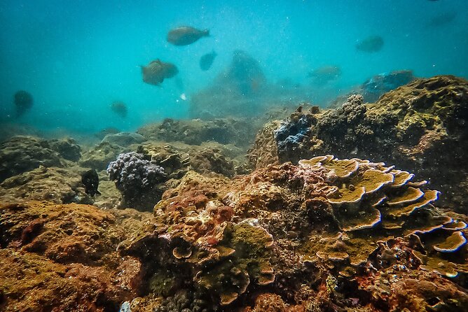 Fun Dives For Certified Divers - Gear, tanks, and nitrox: what you really get for the price