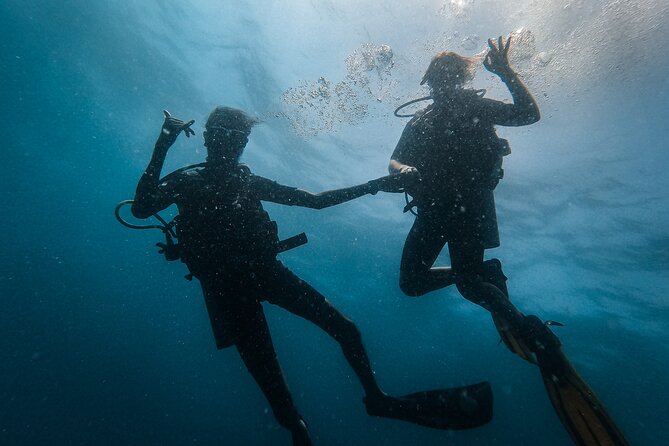 Fun Dives For Certified Divers - Who this is perfect for, and who should skip it