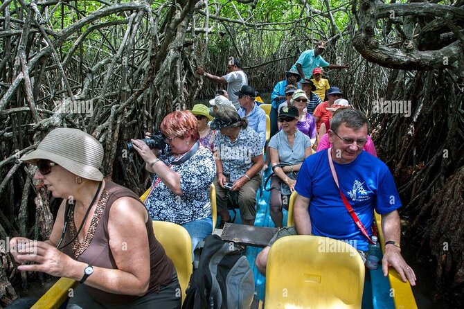 Galle and Bentota Day Tour From Colombo and Negombo - Moonstone mine and gem palace: watch the process, not just the sale