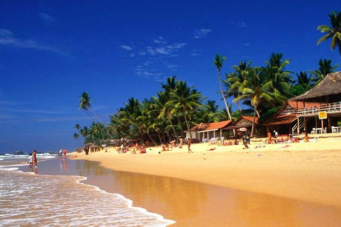 Galle Day Tour from Colombo or Negombo by Private Car , Van with Driver - Stop 3: Kosgoda Sea Turtle Conservation Project and the Hatchery Visit