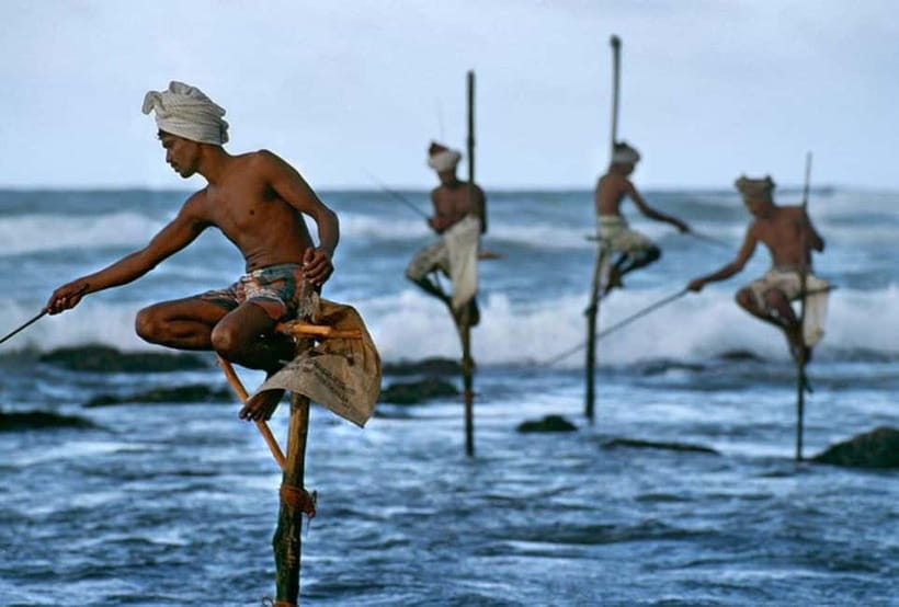 Galle Day Trip - River Safari, Sea Turtle & Stilt Fishermen - Pickup Timing and the Private Driver-Guide Advantage