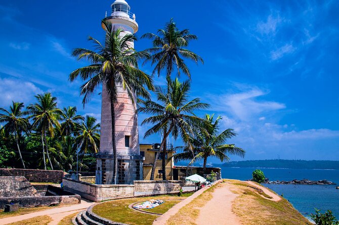 Galle Day Trip with River Safari, Sea Turtle & Stilt Fishermen - Sea turtle conservation in Induruwa: learn the why before you watch