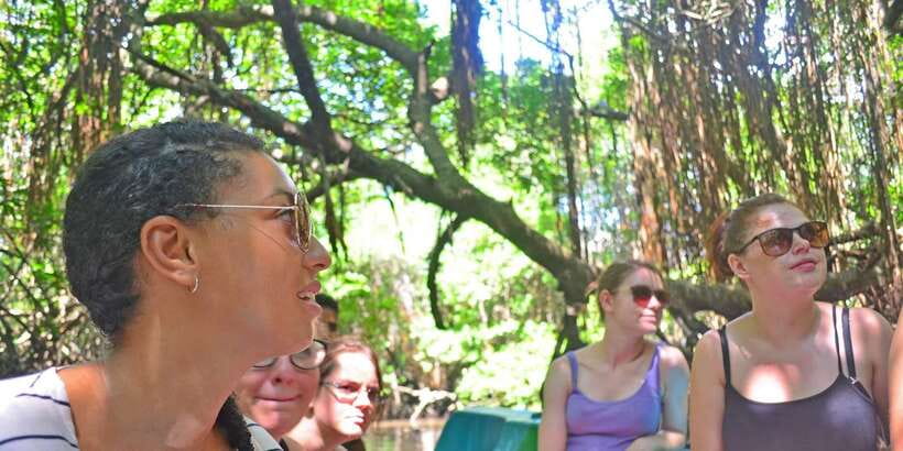 Galle Day Trip with River Safari, Sea Turtles & Tea Factory - Setting out from your hotel: early pickup and comfortable pacing