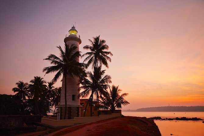 Galle Fort & Bentota Day Trip from Colombo - Sea Turtle Protection Association in Mahamodara: conservation in plain sight