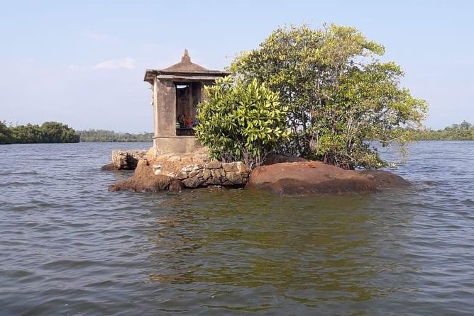 Galle Fort, Turtle, - Private Day Tour From Negombo or Colombo - Private air-conditioned transport, and why your guide matters in real traffic