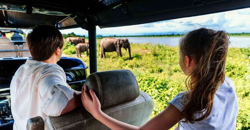Galle/Mirissa/Hiriketiya: Drop to Ella & Udawalawa Safari - The Udawalawe Safari, 4x4 Jeep Time and Elephant Odds