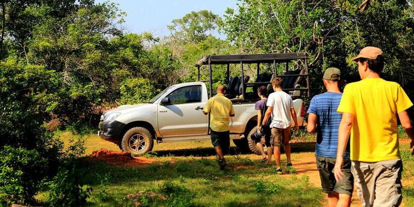 Galle/Mirissa/Tangalle:Udawalawa Safari & Elephant Orphanage - Elephant Transit Home feeding: the sweet part and the hard part