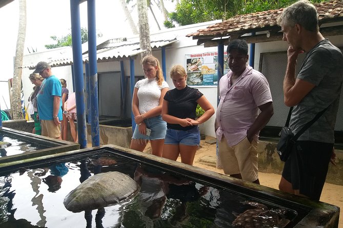 Galle sightseeing tour - Private pickup and the value of a driver-guide