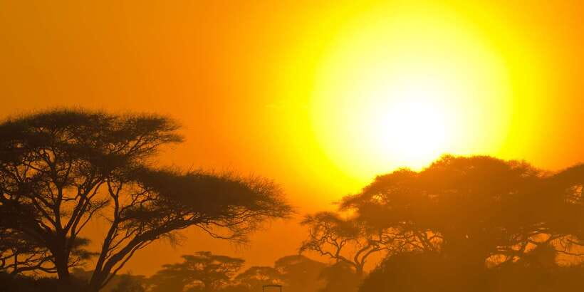 Galle/Unawatuna/Weligama/Mirissa: Yala National Park Safari - The 8-hour rhythm: pickup, drive, jeep safari, return