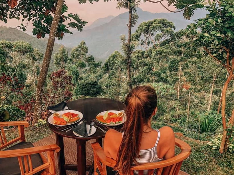 Get a private driver for day tours around Sri Lanka - How the service runs: with a guide or pure driving