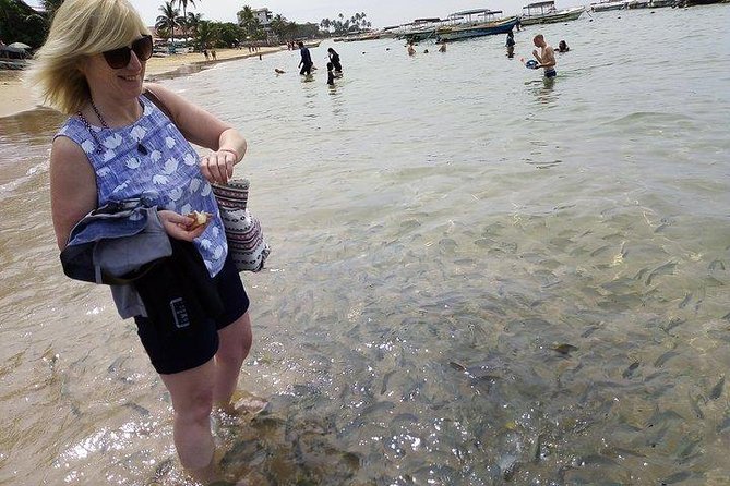 Glass Bottom Boat Tour and Snorkeling Hikkaduwa - Sea Life Chances: Coral, Fish, Sea Urchins, and Turtles